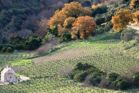 From Heraklion: Private Guided Tour of East Crete Private Tour in a Premium 3-Seater Limo or SUV Vehicle