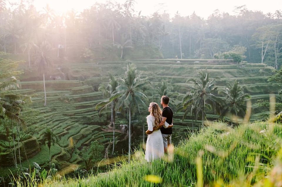 Ubud Bali Dagtrip Met Bezoek Aan Tempel Rijstterras Waterval