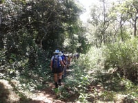 Il Pekoe Trail, Fase 12, Trekking Fm Udaweriya To Haputale - Hizvo