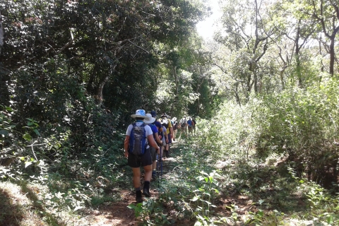 De Pekoe Trail, Etappe 12, Trekking Fm Udaweriya naar Haputale