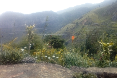 La Ruta del Pekoe, Etapa 12, Trekking de Udaweriya a Haputale