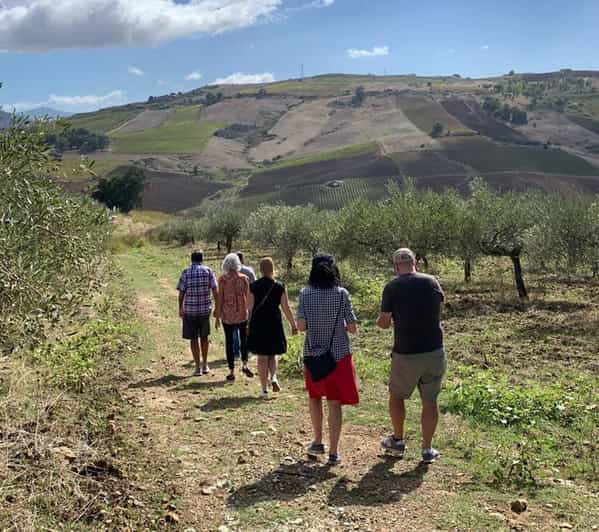 Segesta experience in our organic sicilian olive oil farm GetYourGuide