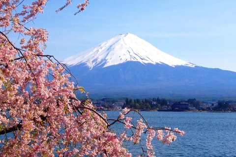 Excursión privada de un día al Monte Fuji y Hakone desde Tokio.