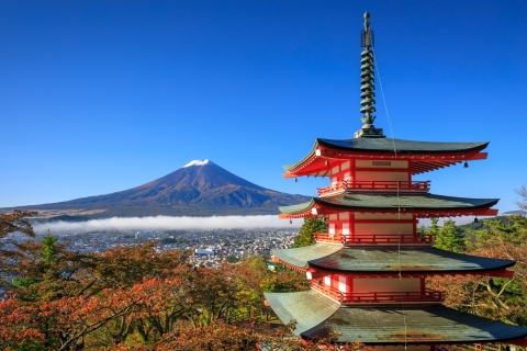 Mt. Fuji & Hakone Private Sightseeing Tagestour ab Tokio.