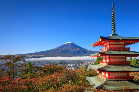 Excursion privée d'une journée au Mont Fuji et à Hakone au départ de Tokyo.