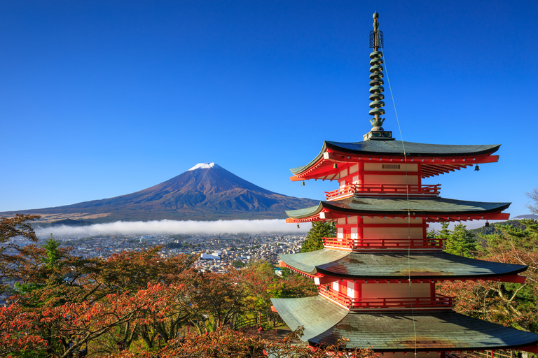 Excursion privée d'une journée au Mont Fuji et à Hakone au départ de Tokyo.