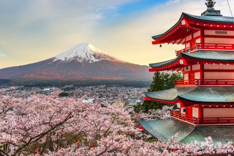 Из Токио: индивидуальная однодневная экскурсия на гору Фудзи или Хаконэ