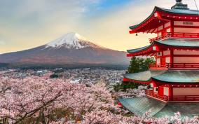 From Tokyo: Mt. Fuji or Hakone Private Sightseeing Day Trip