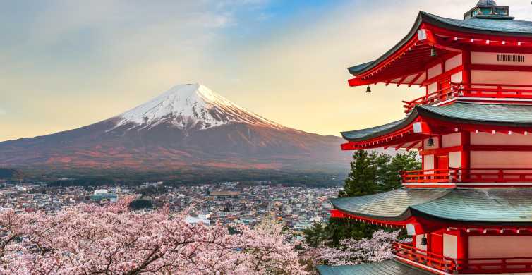 Da Tokyo: Escursione privata di un giorno al Monte Fuji o a Hakone