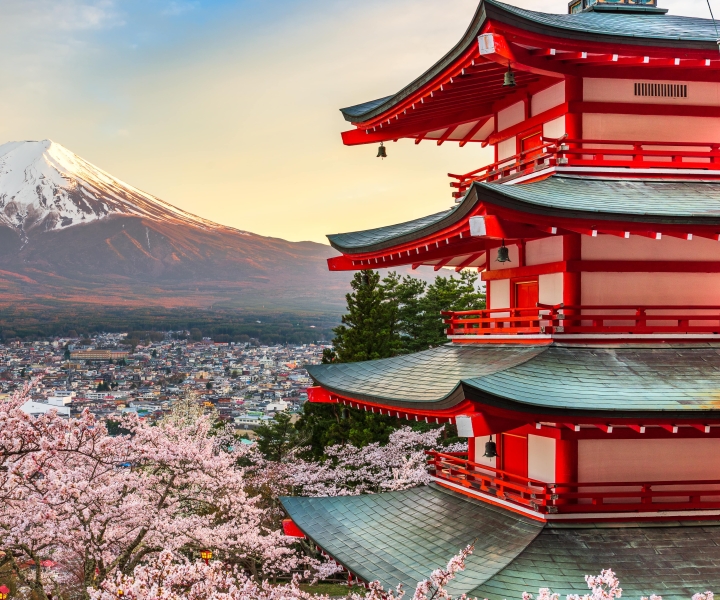 From Tokyo: Mt. Fuji or Hakone Private Sightseeing Day Trip