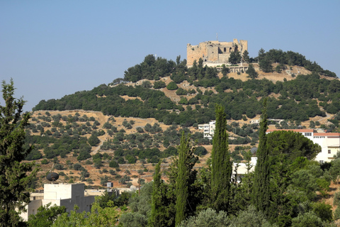 Jerash, Ajloun, and Umm Qais Full-Day Tour