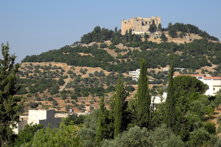 Jerash, Ajloun en Umm Qais-dagtour