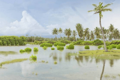 Sri Lanka&#039;s Spectacular 7-Day Hideaway Experience