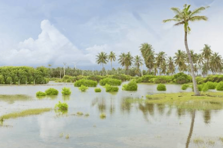 Le Sri Lanka : une expérience spectaculaire de 7 jours dans un lieu isolé