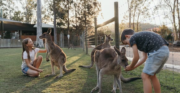 Paradise Country: Ultimate Aussie Farm Experience