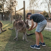 Paradise Country: Ultimate Aussie Farm Experience