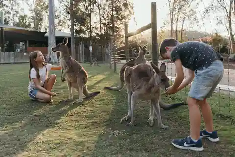 Paradise Country: Ultimate Aussie Farm Experience