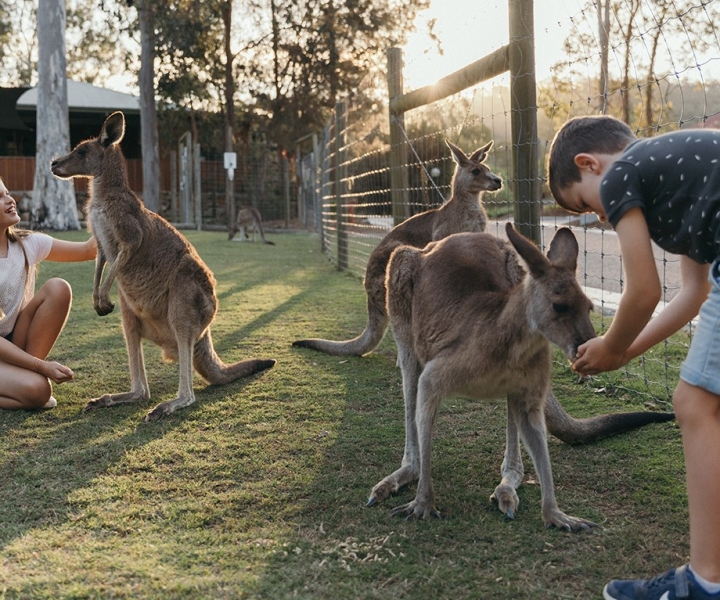 Paradise Country: Ultimate Aussie Farm Experience