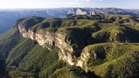 Roos, bleus et vues - Hizvo