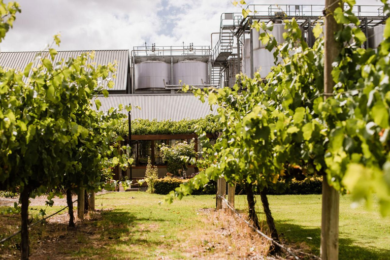 St Hallett : Cuvée de chocolat et de vin - forfait plaisir