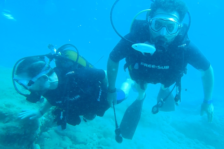 Alanya: Scuba Diving with Lunch, Pickup and 2 Dives