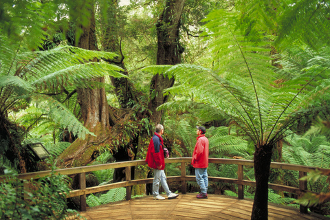 Von Melbourne aus: Geführte Ganztagestour zur Great Ocean RoadAb Melbourne: Geführte Tagestour auf der Great Ocean Road