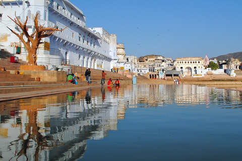 De Jaipur: viagem de um dia de Jaipur a Pushkar