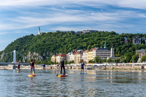 Budapest: tour de surf de remo