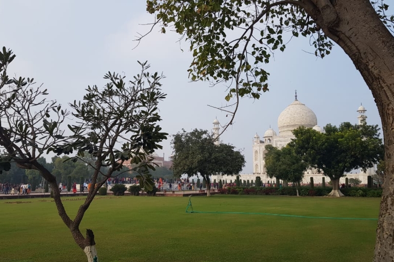 Vanuit Delhi: Agra (Taj Mahal) met een auto met chauffeur