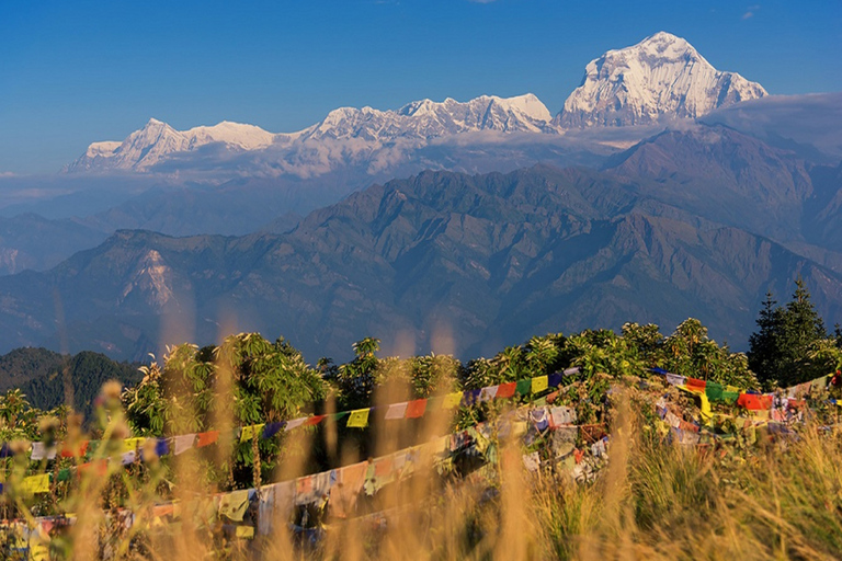 Pokhara: Senderismo de 4 días por el Himalaya: Ghorepani, Poonhill y Ghandruk