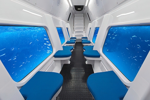 Sansibar Submarine Adventure: Die klassische RifftourDie "klassische Rifftour" (mit Transport)