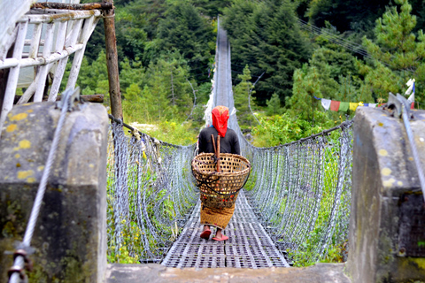 Pokhara: 4-dagars vandring i Ghorepani, Poonhill och Ghandruk VillageStandardpaket