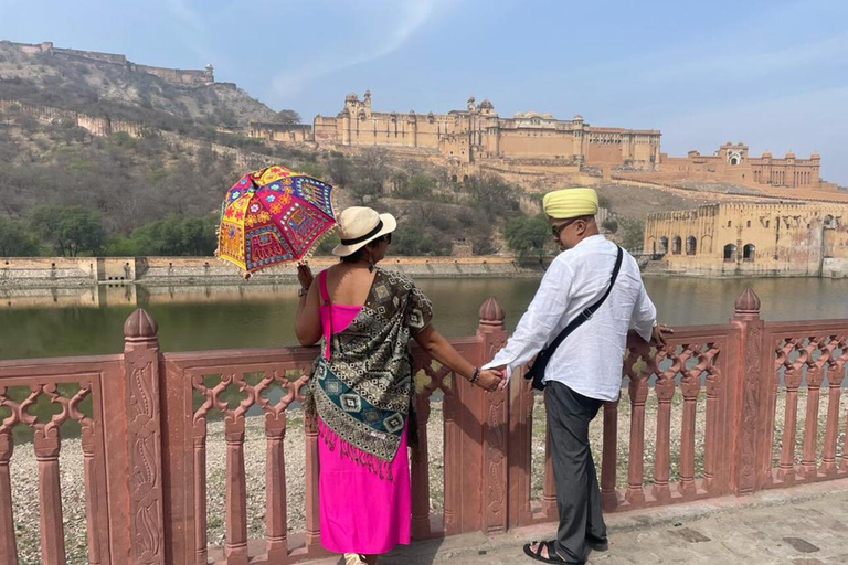 Jaipur: eendaagse privétour vanuit DelhiTour met privéauto, gids en ingangen