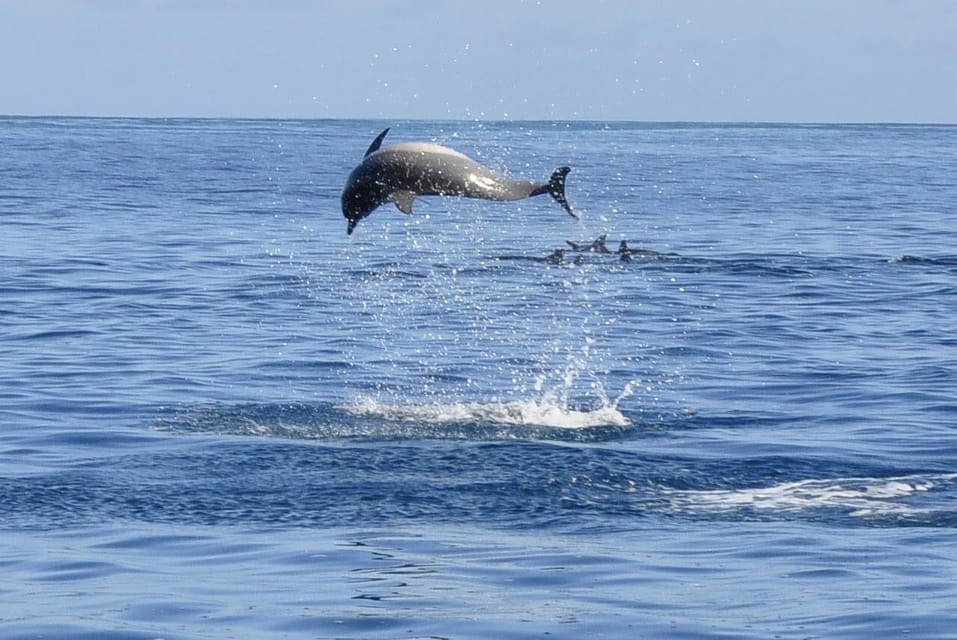 A dolphin clear of the water in mid-leap on open blue sea, with a second one surfacing in the spray behind it