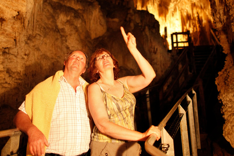 WAITOMO GLOWWORM &amp; RUAKURI CAVES- TOUR PRIVATO DA AUCKLAND