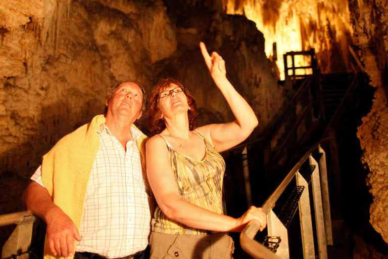 JUST WAITOMO GLOWWORM AND RUAKURI CAVES TOUR FROM AUCKLAND