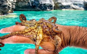 Fishing and Octopus Hunting Private Tour