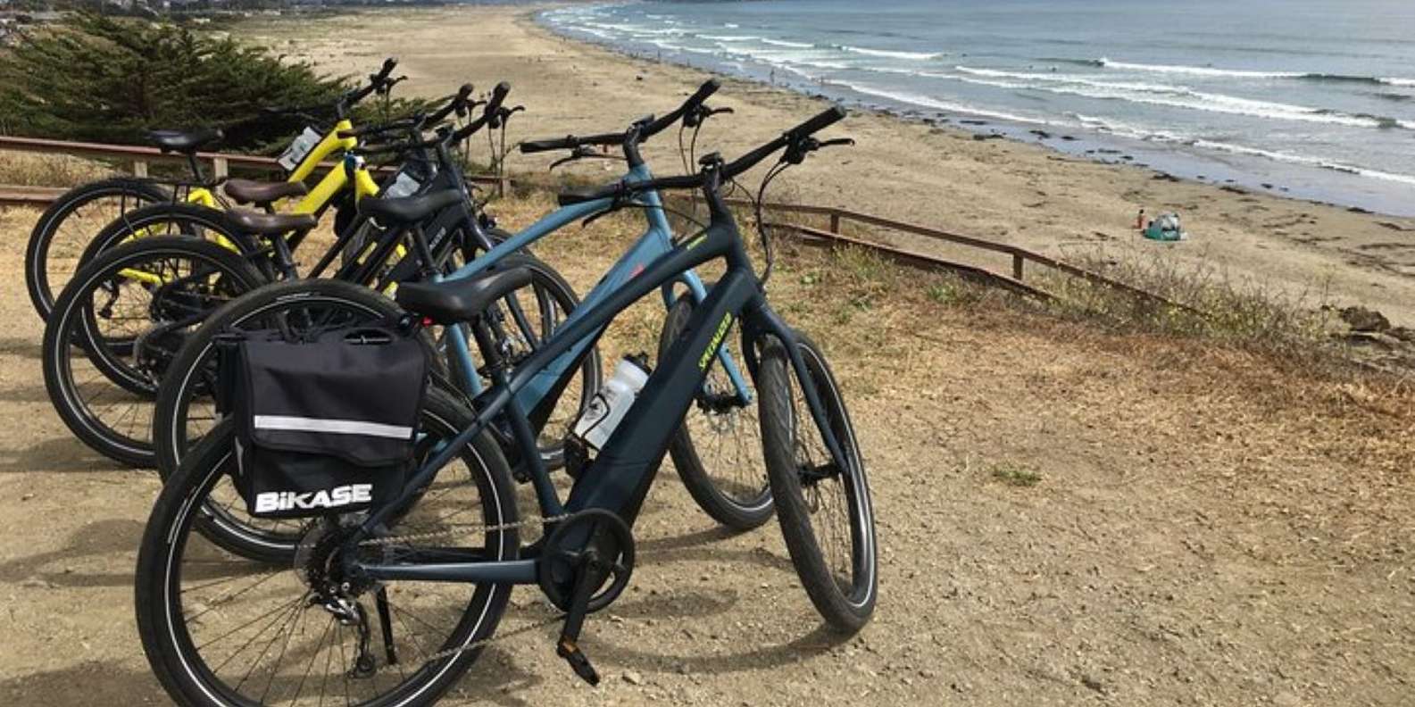 Bike Rentals South Shore Bicycle Shop Beatnik