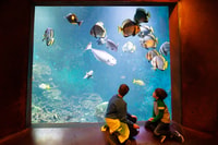 Bremerhaven, Admission ticket to Klimahaus Bremerhaven - Housity