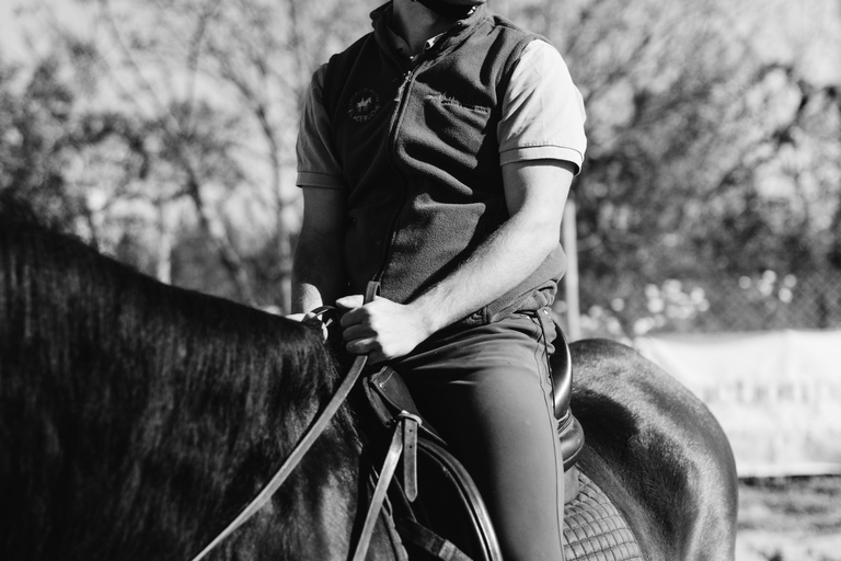 Horseback ride around Doñana National Park Horseback riding around Doñana National Park