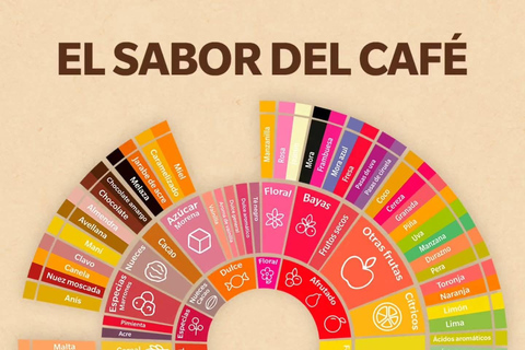 Cusco: Specialty Coffee Tasting-Sensory Experience (2 Hours)