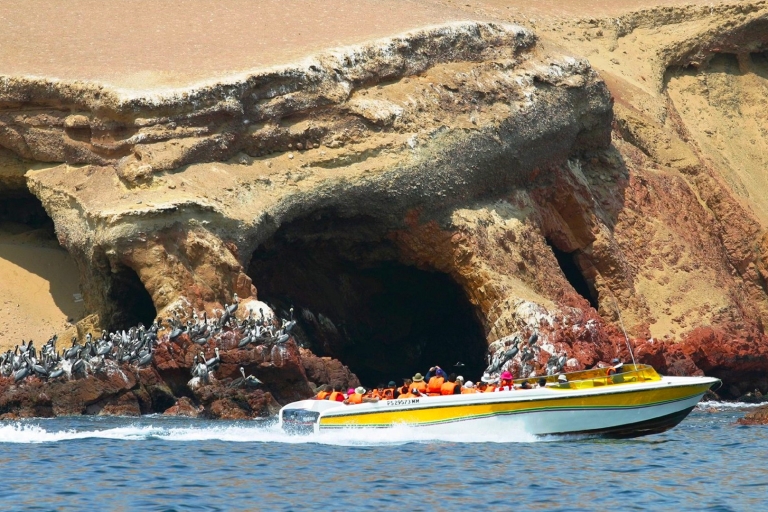 From Lima: 2 Day Tour Paracas, Ballestas Island & Huacachina Tour with Hotel/Hostel Pickup and Drop-off