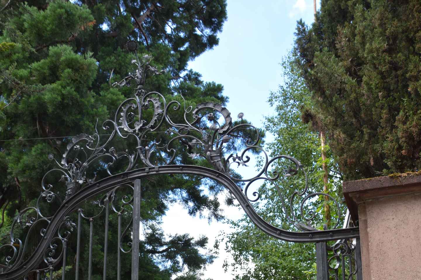 Customizable walking tour with local photographer