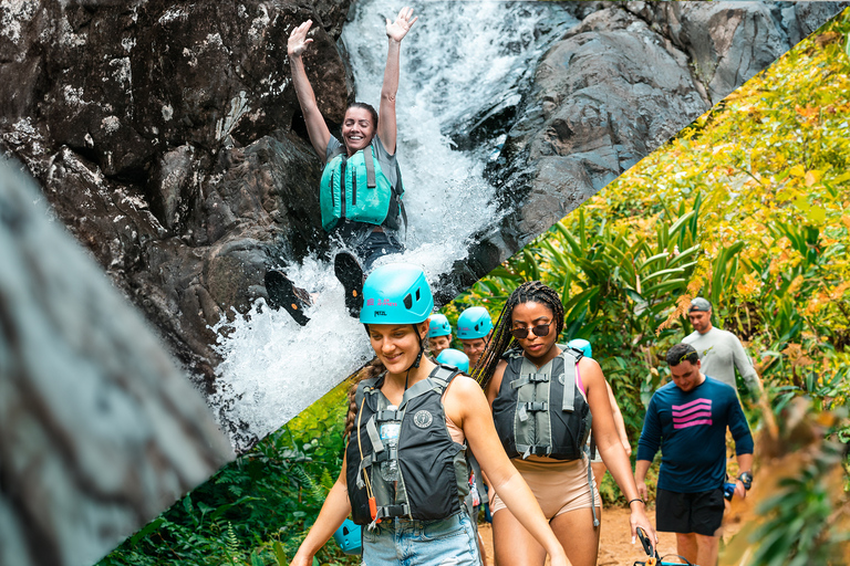 Porto Rico: visite d'une demi-journée de la forêt pluviale et des cascades d'El Yunque