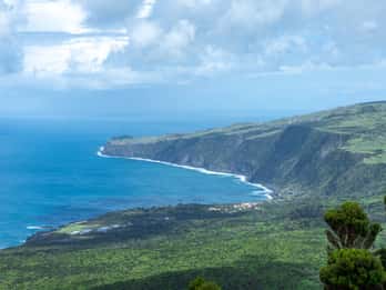 Isla de Faial: Tour de medio día