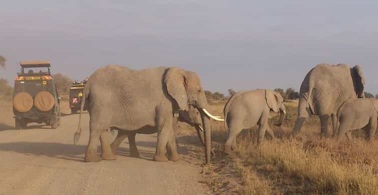 Tarangire National Park : Day Tour 