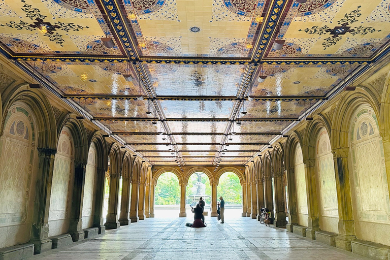 NYC: Privétour Geheimen van Central ParkNYC: Secrets of Central Park begeleide privétour