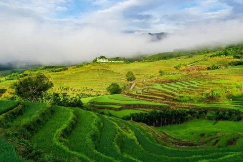 海南：亚湖梯田、黎族祠堂与徒步之旅海南：亚湖梯田、李氏宗祠与徒步之旅