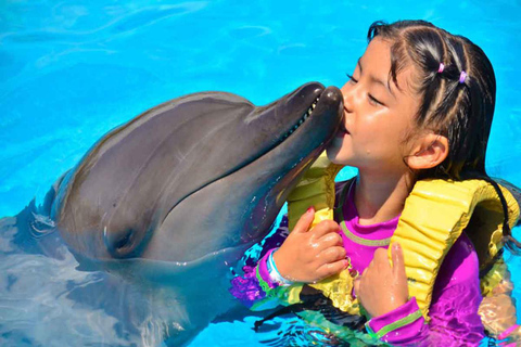 Side/Alanya: Zwemmen met dolfijnenSide/Alanya: Zwemmen met dolfijnen, zeehonden en zeeleeuwen