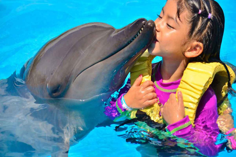 Side/Alanya: Swimming with Dolphins Side/Alanya: Swimming with Dolphins, Seals, and Sea Lions